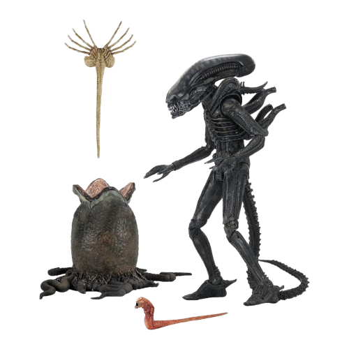 alien_action_figure-removebg-preview alien xenomorph action figure with egg, chest-burster, and face-hugger