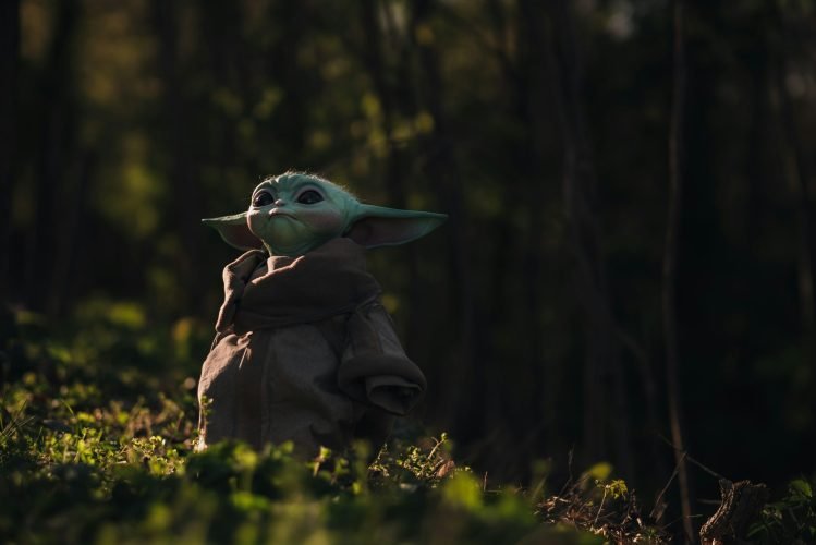 emmanuel-denier-YiXsjwJKXmo-unsplash baby yoda grogu in nature