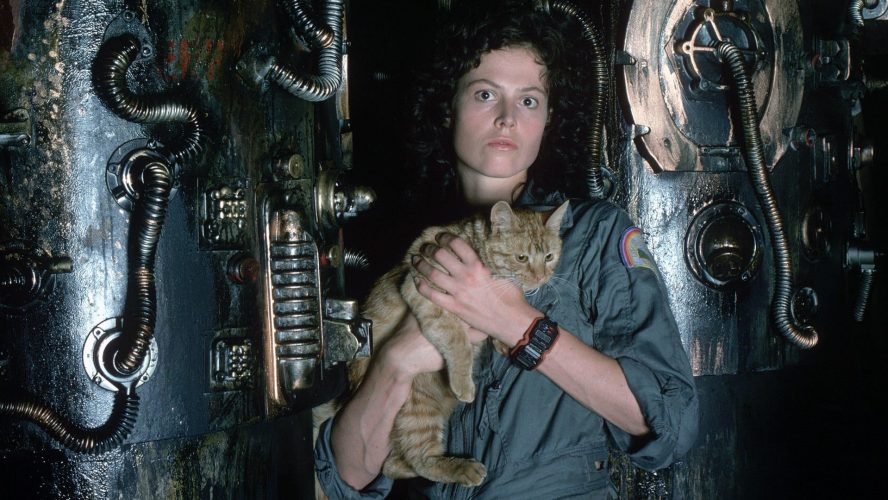 ellen ripley and jonesy ellen ripley from alien sigourney weaver holding cat